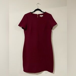 Calvin Klein Embroidered Dress